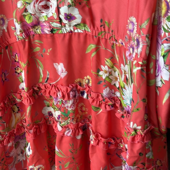 Alexis - Picture 3 of 6